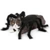 Halloween Dog Cat Clothes Pet Cats Dogs Cosplay Funny Spider Costume Halloween Party Costumes for Small Medium Dog Cats Costumes
