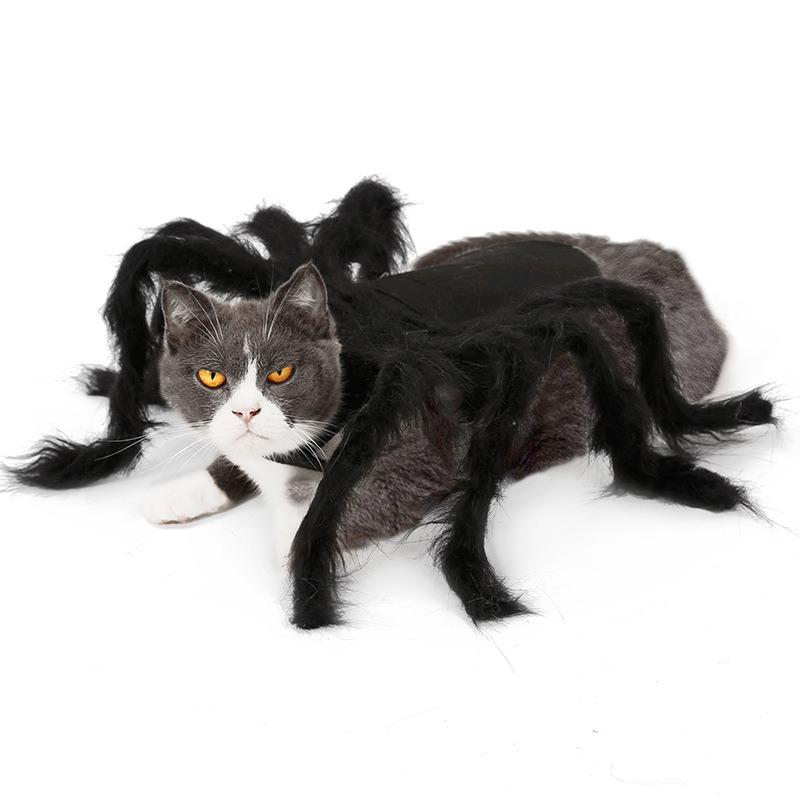 Halloween Dog Cat Clothes Pet Cats Dogs Cosplay Funny Spider Costume Halloween Party Costumes for Small Medium Dog Cats Costumes