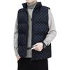 Cotton-padded Vest Men's Autumn and Winter New Trend B Vest Sleeveless Jacket Youth