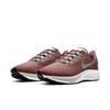 Air Zoom Pegasus 37 Красный камень CZ8696-601