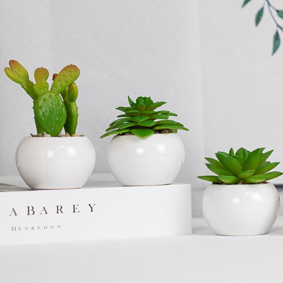 Поддельные растения, мини-реалистичные, широкое применение, высокое качество, натуральные яркие мульти-стильные искусственные суккуленты, бонсай для гостиной