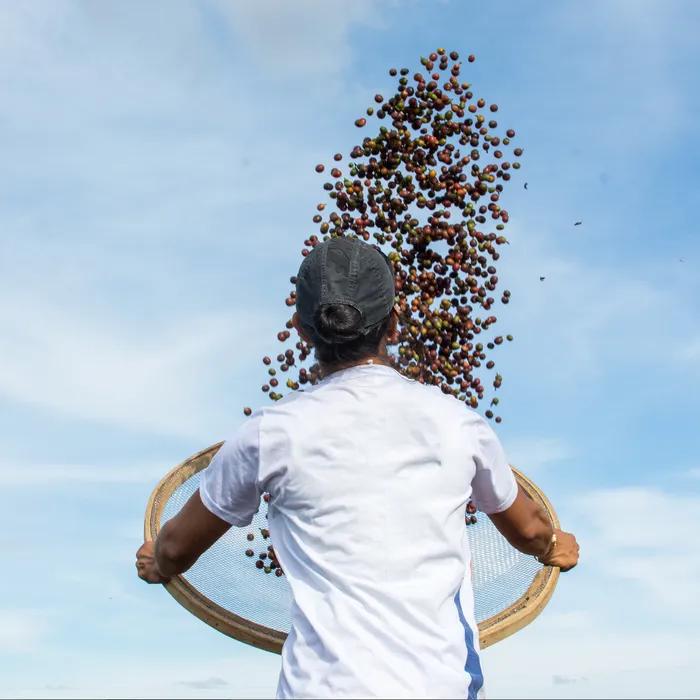 Brazilian Single Origin Coffee Beans 200g