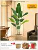 Искусственное дерево Стрелиция - Роскошная зелень для декора гостиной