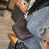 Spring/summer Single Shoulder Fashion Net Senior Sense Bag Shoulder Strap Oblique Straddle Bag Top Layer Cowhide Bag for Women