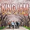 Микс CD KING JAM King Jam Spring Shellings Mix KJCD028 King Jam JPN 2018 Япония Японская Клубная Музыка