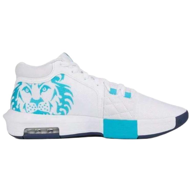 Nike Lebron Witness 8 EP Dusty Cactus Мужские кроссовки Белый Обсидиан-Пыльный кактус HQ2140-101