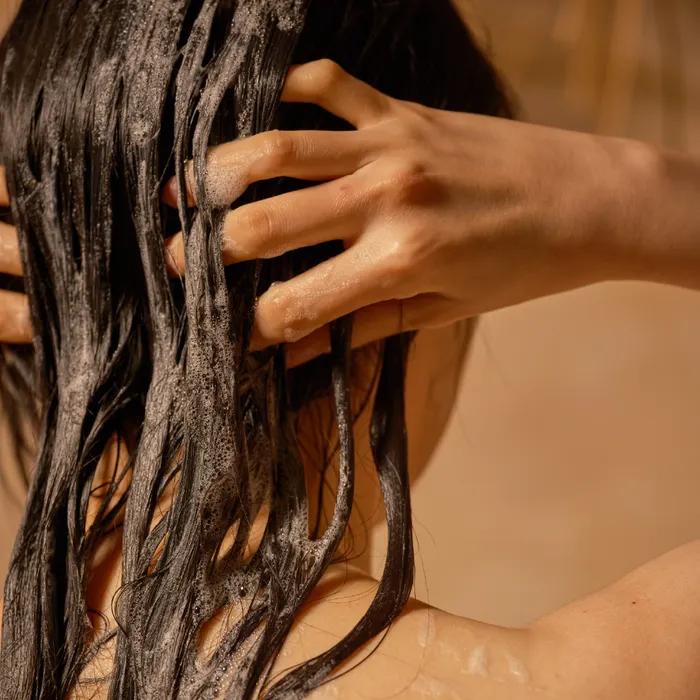 [Empty Bottle + Refill] Rain in Foret Shampoo