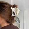 Korean Style Tuna Hair Claw Sweet Marine Organisms Shark Clip Acetate Ocean Tunny Hair Clip  Female