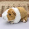 Cute Dolls Guinea Pig Stuffed Stuffed Animals Hamster Doll Cartoon Plush Mouse Dolls  Room Decor