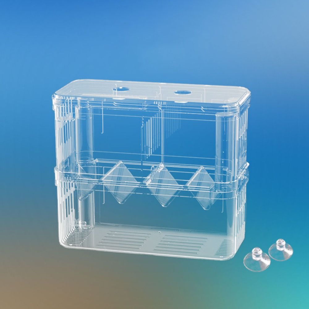 Acrylic Fish Breeding Isolation Box Double-Deck Fish Breeder Box  Fish Injured