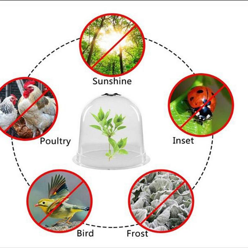 Прозрачный чехол для размножения растений Чехол для рассады Легкий купол для растений Для ландшафтного питомника Балкона Теплицы