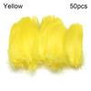 Wedding Ornaments Natural Color Colorful Feather Costume Decoration Home Decoration Goose Feathers