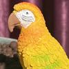 Птичье украшение Смола Алый ара Скульптура Реалистичная Живая статуэтка попугая Водонепроницаемая Наружное украшение для сада