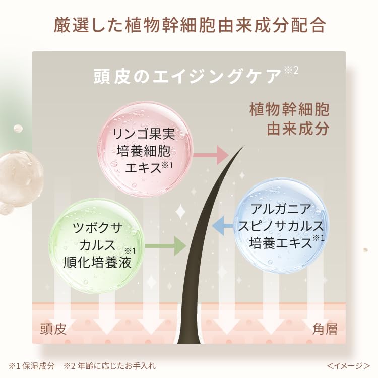 Pieora Botanical Volume Жасмин и Улучшает Объем Волос с Аминокислотами Растительных Клеточных Стеблей и для Волос Шампунь, 450 мл, и Аромат Иланг-Иланга, Укрепляет,