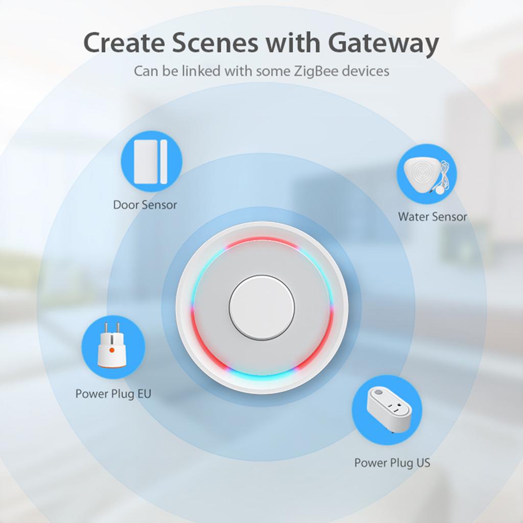 2.4GHz Wireless Water Leak Detector TY App ZigBee Remote Control Smart Water Sensor with Probe for