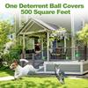 12 Pack Cat Deterrent Outdoor Indoor Natural Peppermint Oil Dog Repellent Keep Cats Off Yard Garden Lawn Plants