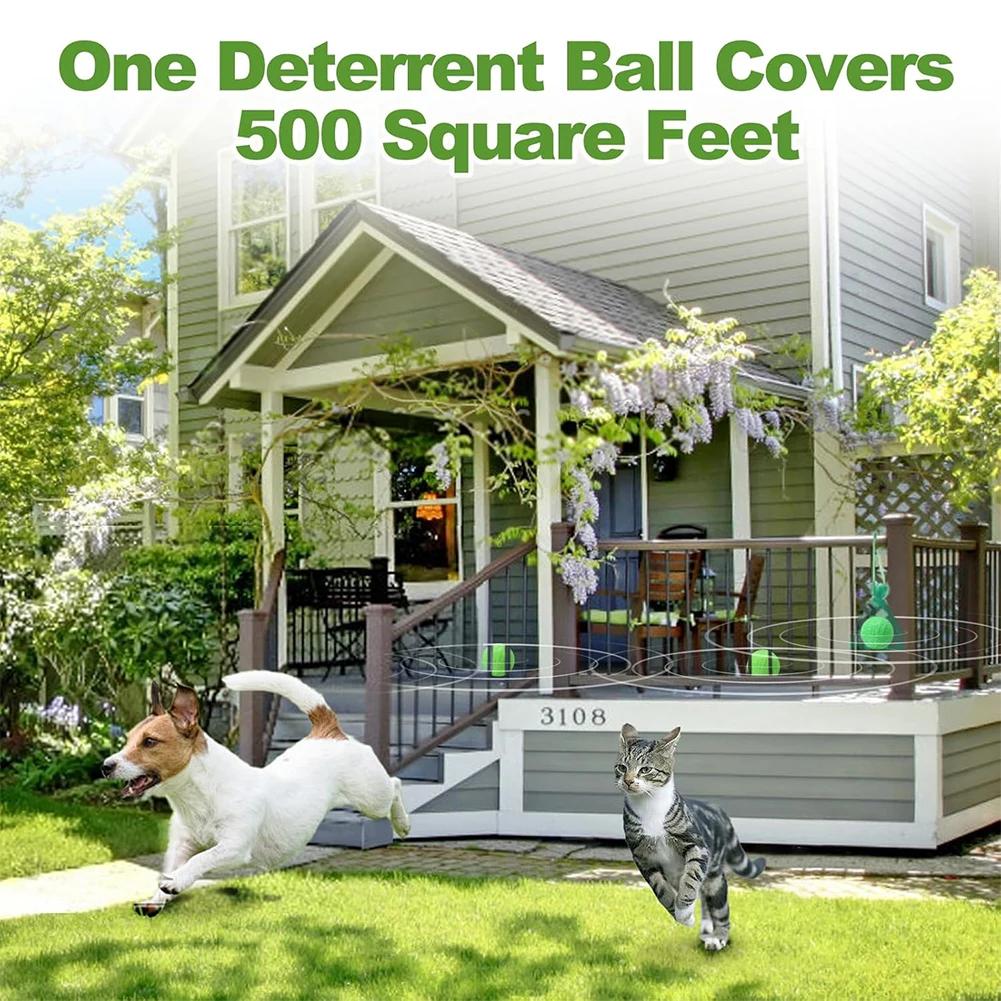 12 Pack Cat Deterrent Outdoor Indoor Natural Peppermint Oil Dog Repellent Keep Cats Off Yard Garden Lawn Plants