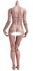 HiPlay Worldbox 1/6 Scale Female Body, Super Articulated Figure Doll (Standard Body Type AT201 (Suntan Skin)) (Suntan Skin)