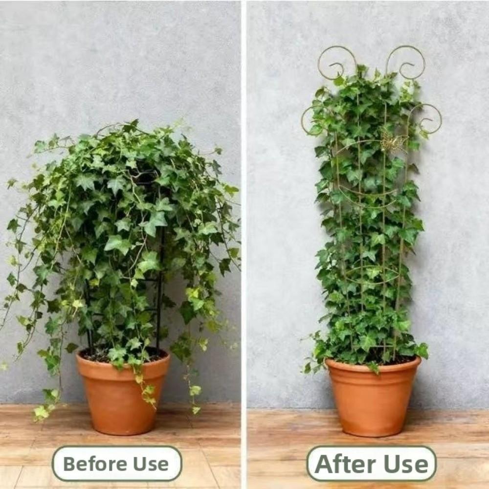 Butterfly Shaped Plant Climbing Trellis Strong Load Bearing Vine Climbing Rack Potted Plants