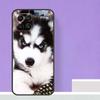 Animal Husky Puppy For Samsung Galaxy M13 M33 M53 M12 M32 M52 M14 M34 M54 M20 M51 M21 M30s M31s M15 M55 Case