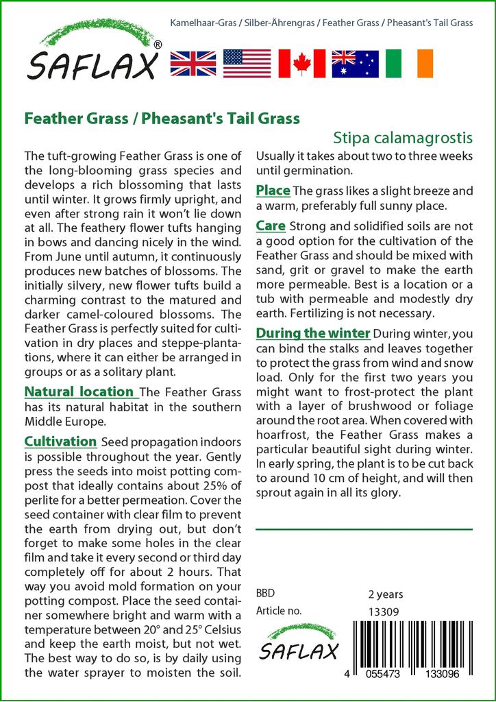 SAFLAX Ковыль / Трава фазаньего хвоста - 50 семян - Stipa Calamagrostis