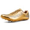 Spike Shoes Track and Field Sprinting Training Shoes Men's Spike Shoes Women's Medium and Long Running Long Jump Shoes