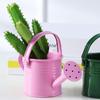 Thickened Water Spraying Pot Large Capacity Sprinkler Creative Mini Metal Watering Can  Gardening