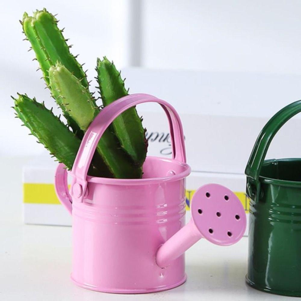 Thickened Water Spraying Pot Large Capacity Sprinkler Creative Mini Metal Watering Can Gardening