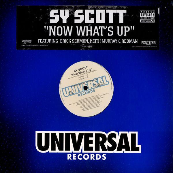 12-дюймовая пластинка SY SCOTT ERICK SERMON KEITH MURR Now Whats Up UNIR208051PROMO Universal Recor 2002 US Rap HipHopRB Б/у