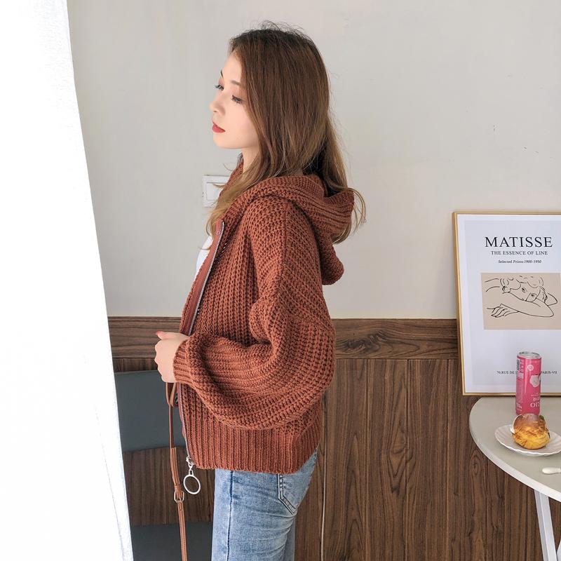 Осенне-зимний кардиган с капюшоном, короткий, утолщенный, верхняя одежда, простая и удобная женская куртка на молнии с длинным рукавом 6206