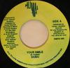 7-дюймовая пластинка SKIBBU Your Smile RMVS005 Humal Records 1989 Ямайка Регги Ска Даб Б/у