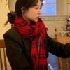 Women's Red Plaid Christmas Scarf, Korean Fashion, Imitation Cashmere Snood, Autumn/Winter Warm Shawl