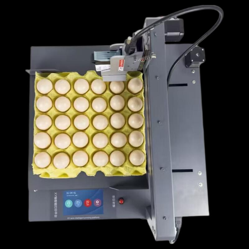 DH Donghui 660-6 Automatic Egg Inkjet Printer