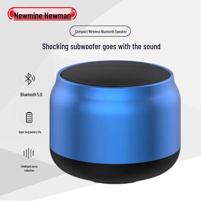 Bluetooth-колонка Newmine BT31, китайская вилка (адаптер в комплекте)