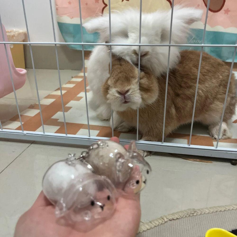 Keyrings Memorial Rabbit Hair Collector Transparent Rabbit Hair Storage Box Backpack