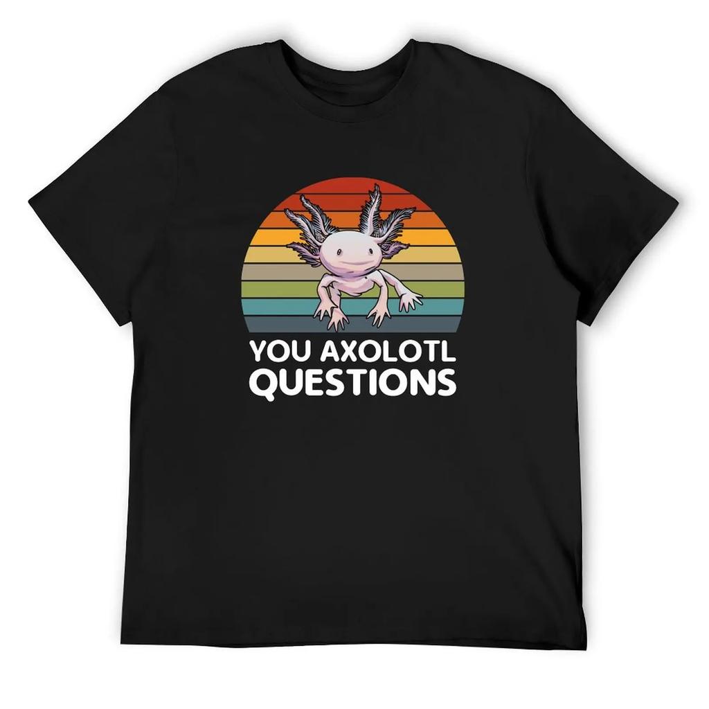 You Axolotl Questions Футболка Винтажная одежда Мужская одежда Эстетическая одежда Тяжелые футболки для мужчин