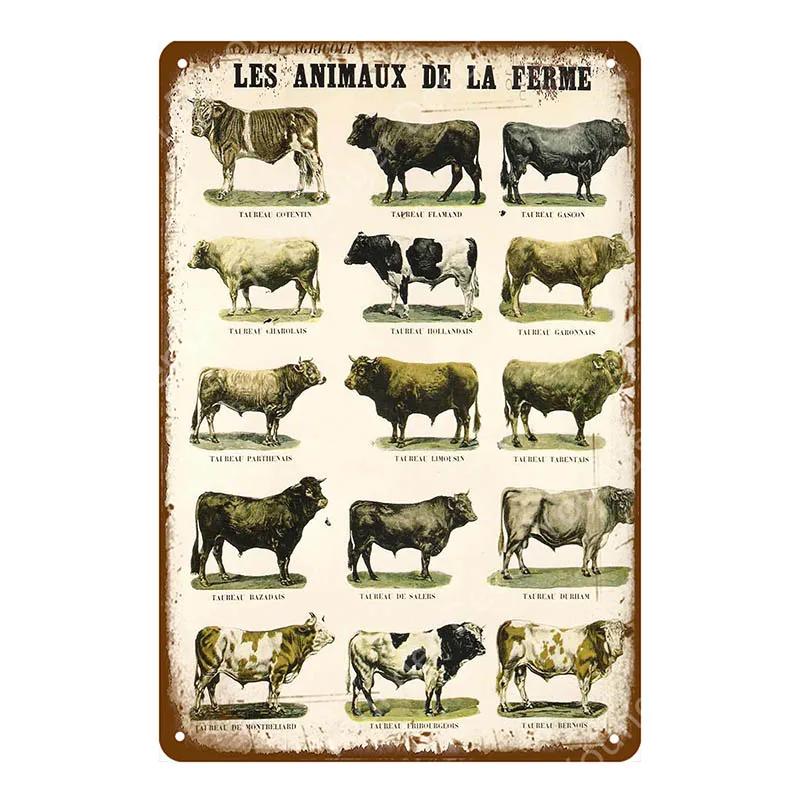 Family Butchers Tin Signs Beef Cuts Duck Eggs Wool Vintage Metal Plaque Farmhouse Farm Shop Wall Decor Cow Pig Poster YI-120