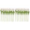 ABUL-20Pcs White 13.8Inch Artificial Tulips Flowers For Party Decoration,Wedding Home Decoration