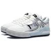 Li Ning Утреннее сияние Утреннее сияние Покрытие Устойчивость к скольжению и истиранию Низкие кеды для скейтборда Женские AGCR192-1