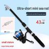 43см Портативный Мини Телескопический Набор Удилищ для Спиннинговой Рыбалки для Начинающих