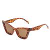 Punk Leopard Print Eyewear UV400 Wide Legs Sun Glasses Fashion Cat Eye Sunglasses  Travel