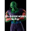 BANPRESTO Dragon Ball Z SOLID EDGE WORKS THE Battle 13 Пикколо А