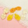 5Pcs Handcraft DIY Gift Box Knot Fastener Cheongsam Buttons Tang Suit Chinese Knot Button