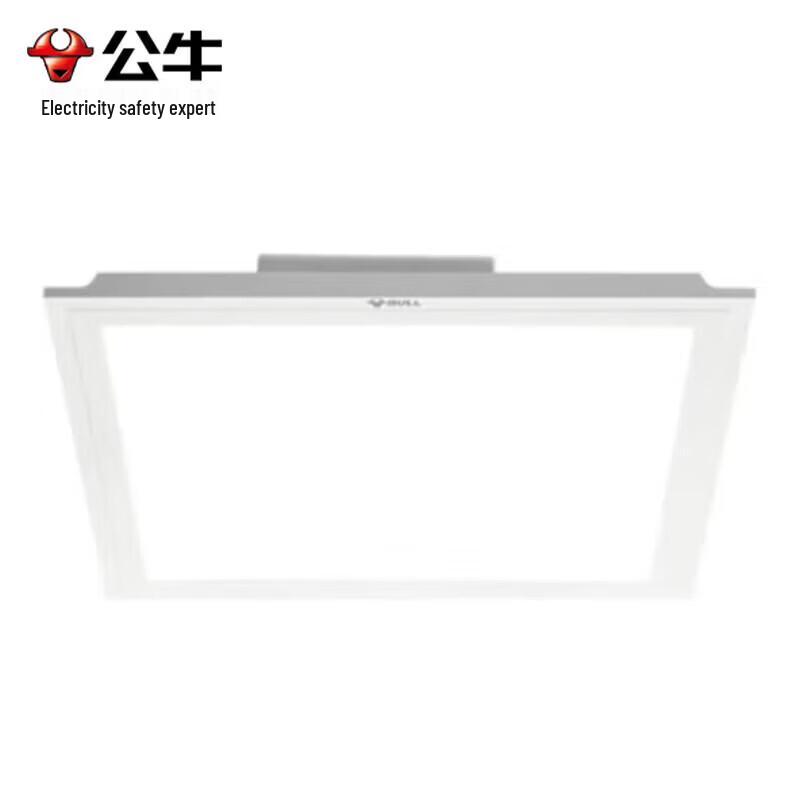 BULL Integrated Flat Panel LED Ceiling Light