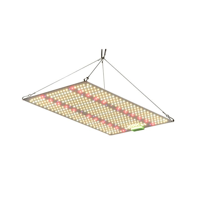 Новый светодиодный светильник для выращивания растений, лампа для роста растений, диммируемая квантовая плата, теплица, овощи, фрукты, семена, цветы, полный спектр, дополнительный свет