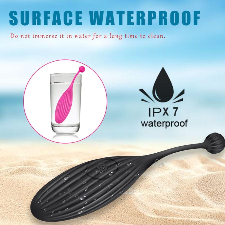 App Internet Control Vibrator Vaginal Ball 9 Speeds G Spot Massage Clitoris Stimulation Adult Sex Toys for Women Vibrating Egg 18+