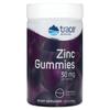 Zinc Gummies, Elderberry, 30Mg, 60 Gummies (15Mg Per Gummie)