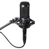 Audio Technica AT2035 Condenser Microphone Cut Shock Mount Unidirectional/Low Switch/Pad Switch/Dedicated Included/Recording/Home Recording/Video