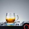 520ml Heat-Resistant Glass Tea Infuser Mug with Lid and Handle