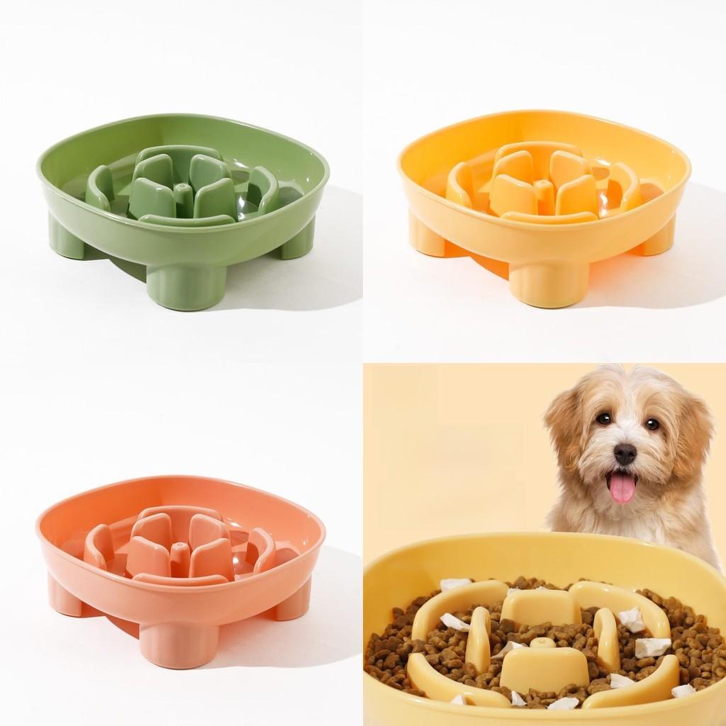 Pet Food Dish With Auto Feeding For Cats And Dogs In Green Yellow Pink Colors